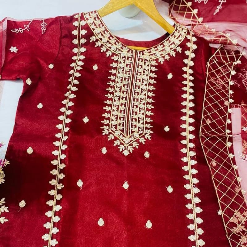 Organza Fabric Suit 3 pc