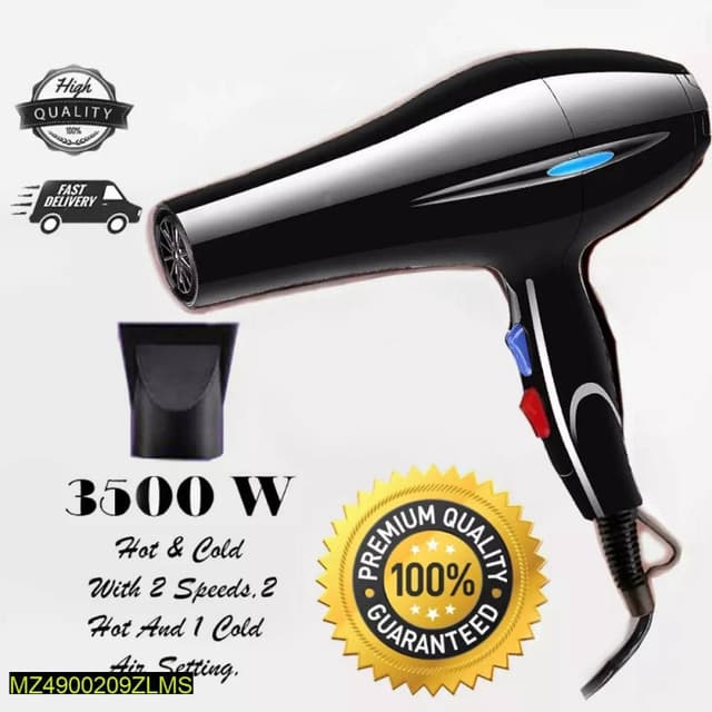 Professional Hair dryer